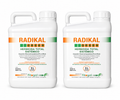 Désherbant Glyphosate Radikal 2X5L Herbicide Pour Mauvaises Herbes